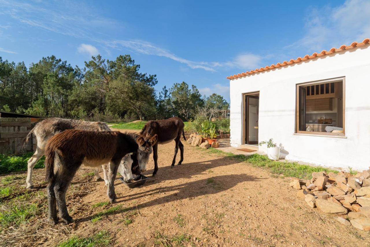 Casa Da Paz Apartman Aljezur Kültér fotó